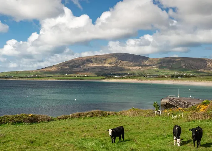 Farm - Rainbow By Trident Homes 펜션 벤트리